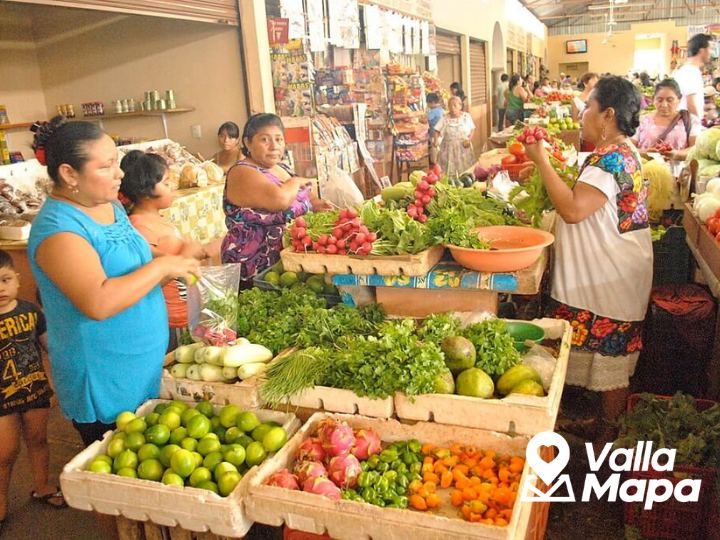 ¿Cómo es vivir en Valladolid?