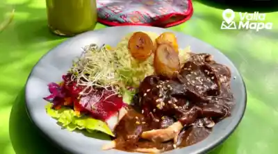 Mesa de gastronomía vallisoletana para comparar cocina local, cafés, cantinas y propuestas contemporáneas