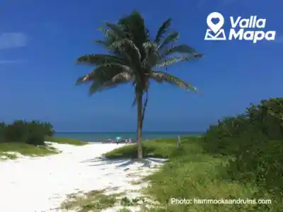 Quiet El Cuyo beach and coastal nature used for a day-trip guide from Valladolid